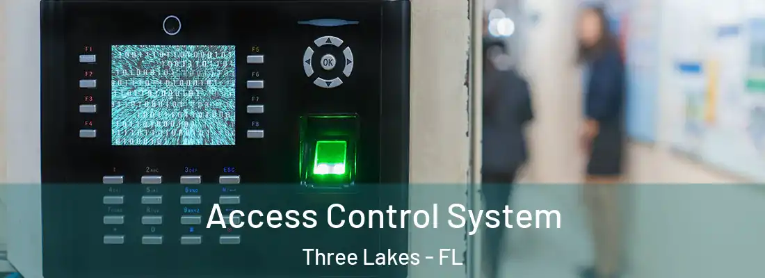 Access Control System Three Lakes - FL