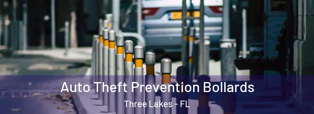 Auto Theft Prevention Bollards Three Lakes - FL