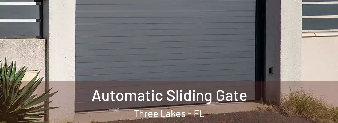 Automatic Sliding Gate Three Lakes - FL