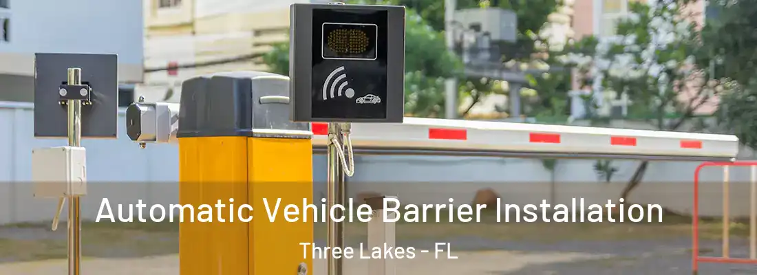 Automatic Vehicle Barrier Installation Three Lakes - FL
