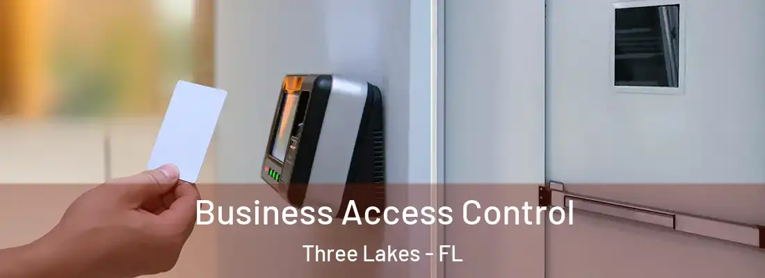 Business Access Control Three Lakes - FL