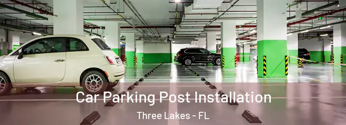 Car Parking Post Installation Three Lakes - FL