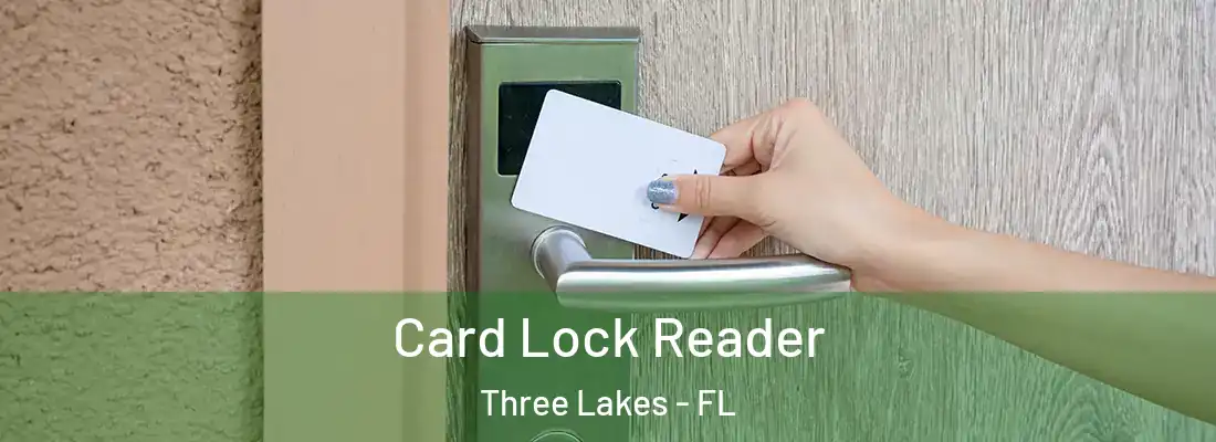 Card Lock Reader Three Lakes - FL