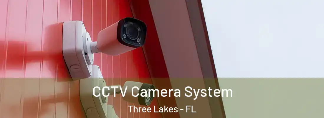CCTV Camera System Three Lakes - FL