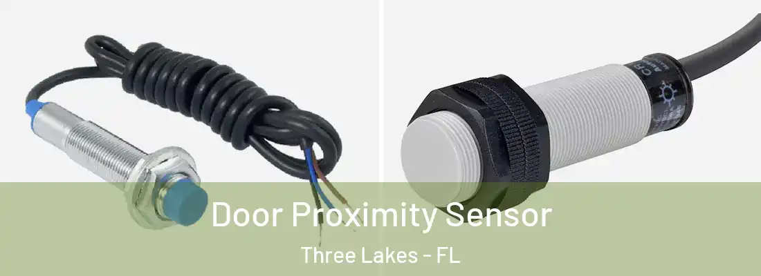 Door Proximity Sensor Three Lakes - FL