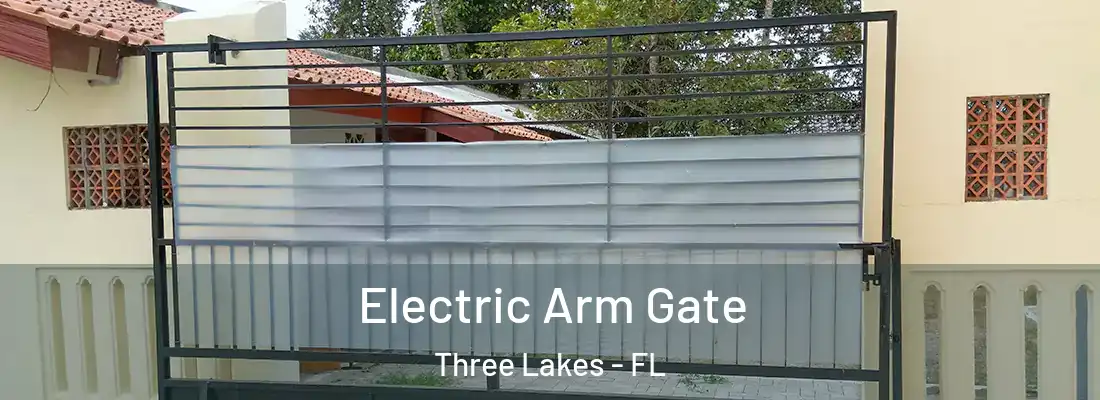 Electric Arm Gate Three Lakes - FL