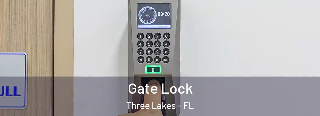 Gate Lock Three Lakes - FL