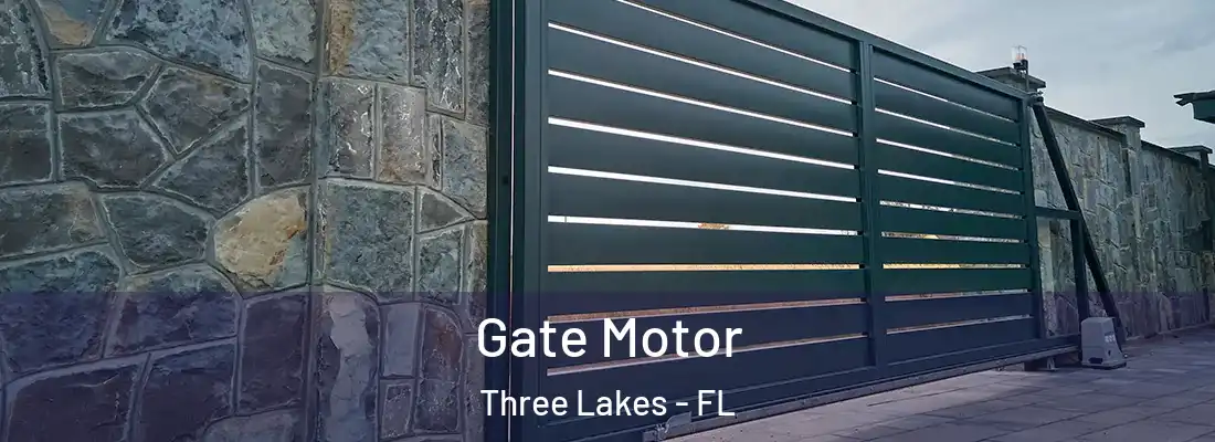 Gate Motor Three Lakes - FL