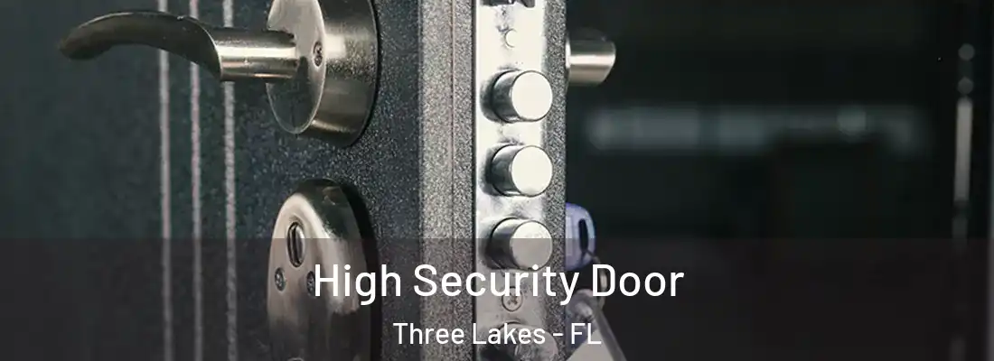 High Security Door Three Lakes - FL