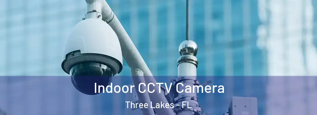 Indoor CCTV Camera Three Lakes - FL