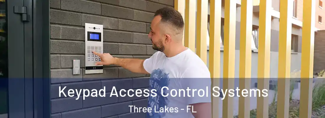 Keypad Access Control Systems Three Lakes - FL
