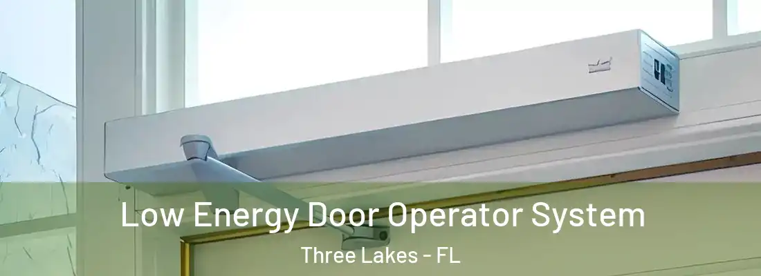 Low Energy Door Operator System Three Lakes - FL
