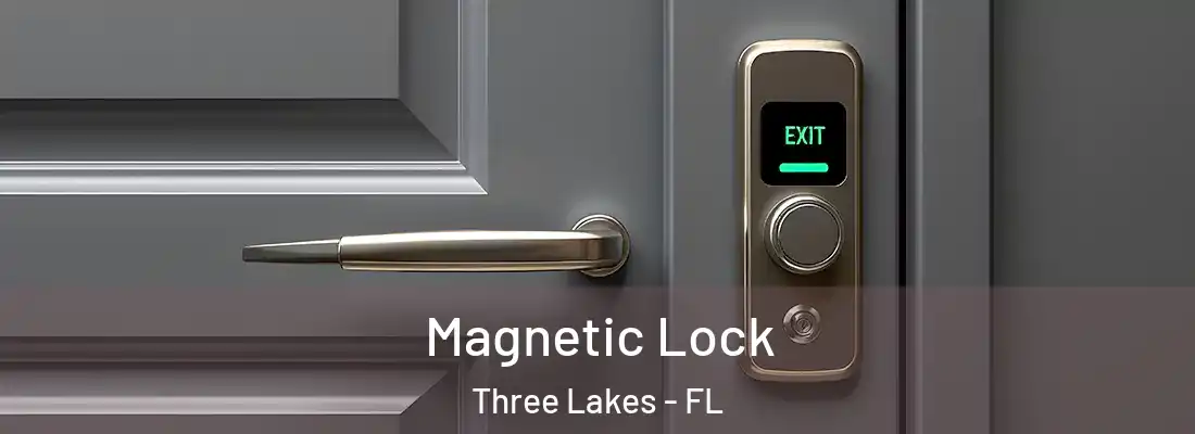 Magnetic Lock Three Lakes - FL