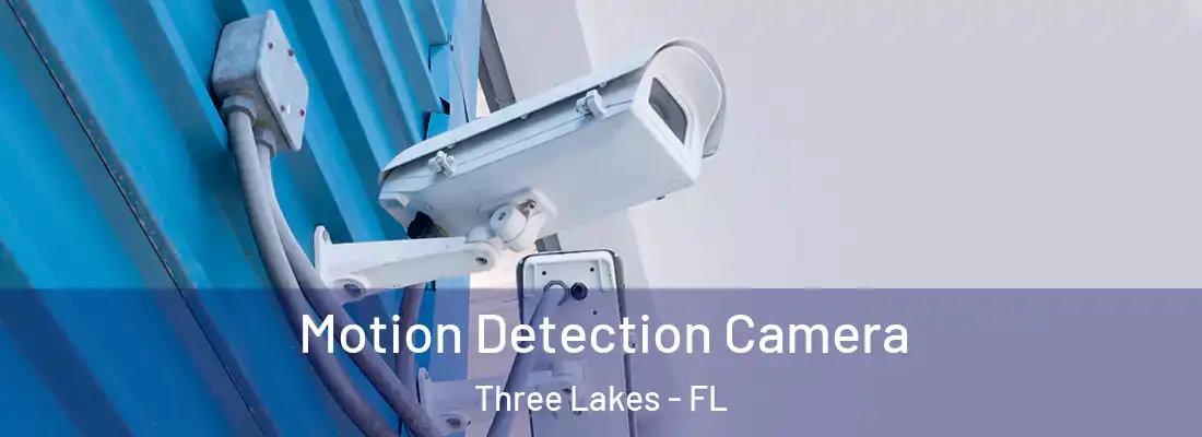 Motion Detection Camera Three Lakes - FL