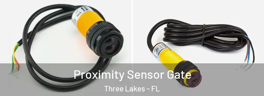 Proximity Sensor Gate Three Lakes - FL