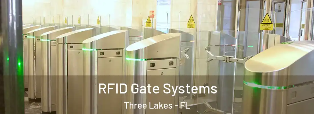 RFID Gate Systems Three Lakes - FL
