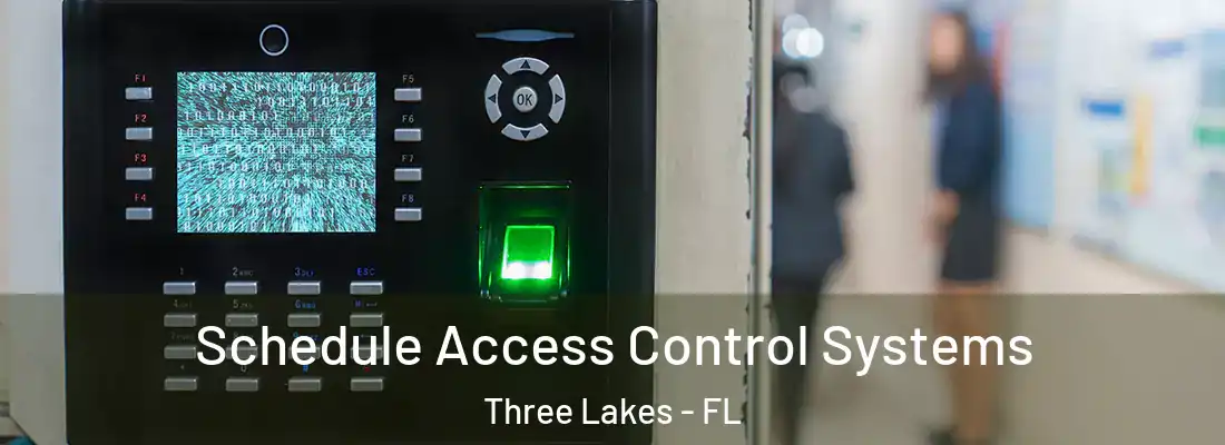 Schedule Access Control Systems Three Lakes - FL