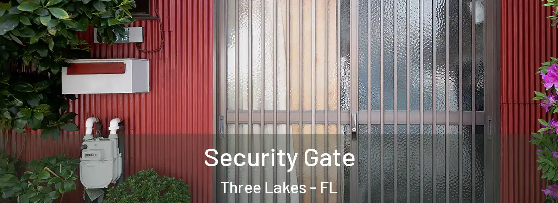 Security Gate Three Lakes - FL