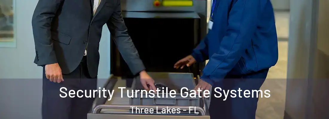 Security Turnstile Gate Systems Three Lakes - FL