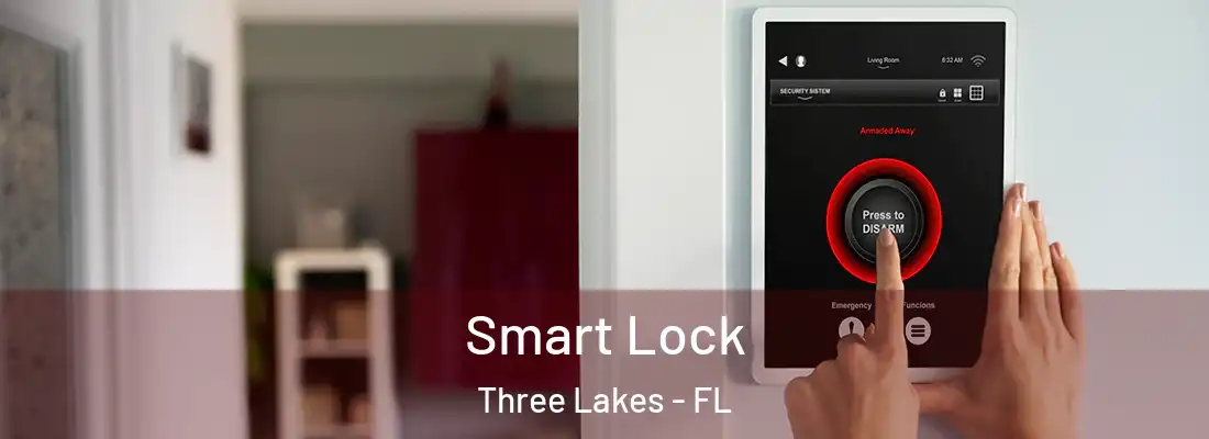 Smart Lock Three Lakes - FL
