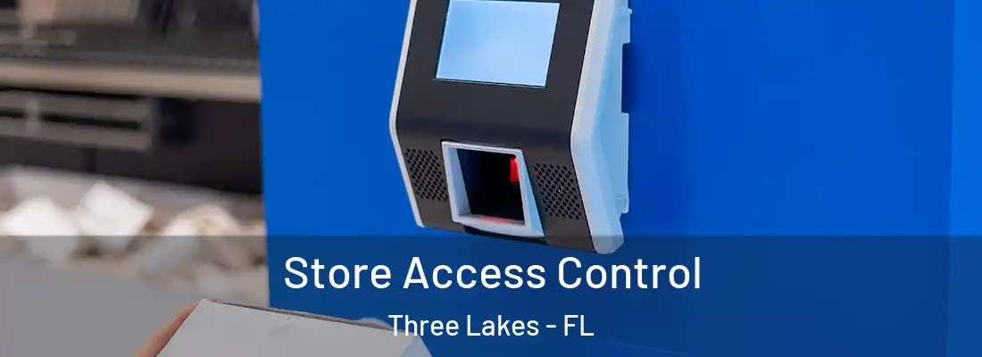Store Access Control Three Lakes - FL