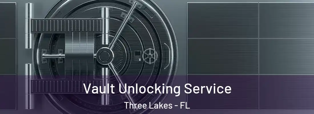 Vault Unlocking Service Three Lakes - FL