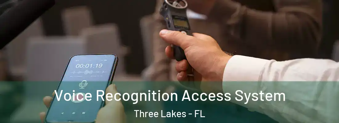 Voice Recognition Access System Three Lakes - FL